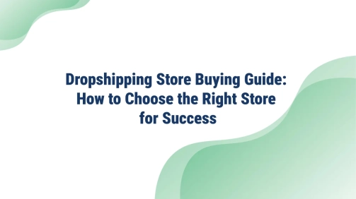 Dropshipping Store Buying Guide