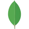 MongoDB