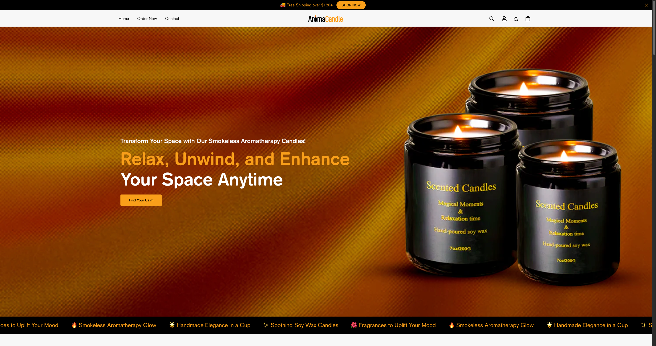 EcomFixr Pro Dashboard Preview