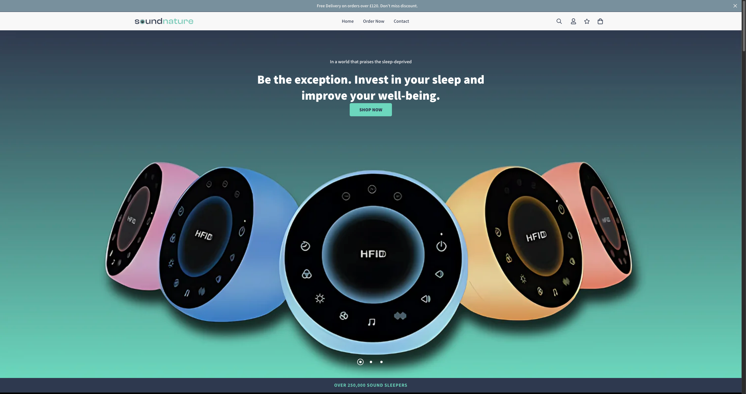 EcomFixr Pro Dashboard Preview